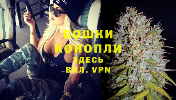 соль ск Арсеньев